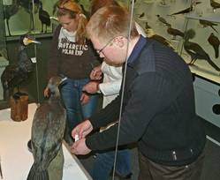 FÖJler beim Gestalten der Vitrine zum Vogel des Jahres