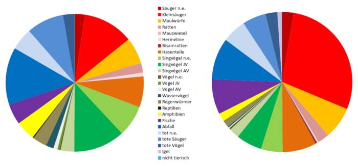 Nahrungsspektrum des Rotmilans
