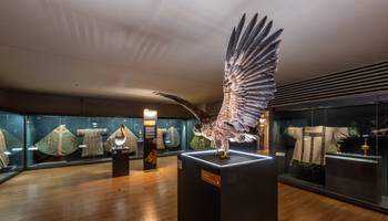 Seeadler &copy;Kulturstiftung Sachsen-Anhalt: Ulrich Schrader