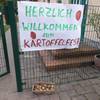 Kartoffelfest in der Acker-Kita &bdquo;Spatzennest in Aspenstedt&ldquo;