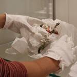 [(c): Foto Gleimhaus]