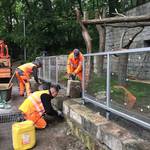 [(c): Stadt Halberstadt/Pressestelle]