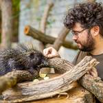 [(c): Tierfotografie Harz]