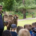 [(c): Tiergarten Halberstadt]