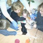 [(c): Kita Sonnenschein]