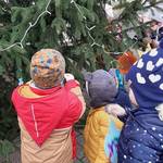 (c) Kita Holzbergwichtel