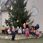 (c) Kita Holzbergwichtel