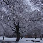 [(c): Stadt Halberstadt/Pressestelle]