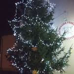 (c) Stadt Halberstadt