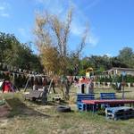 [(c): Kita Holzbergwichtel]