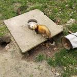 (c) Sandra Reulecke, Volksstimme