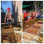 [(c): Kita Waldblick 2]