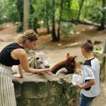 40. Tiergartenfest [(c) Stadtmarketing/Öffentlichkeitsarbeit]