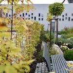 Preisträger des Fassaden- und Stadtbildwettbewerbes der Stadt Halberstadt [(c) Stadt Halberstadt, Pressestelle]