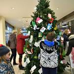 Wunschweihnachtsbaum der Stadt Halberstadt 2021 [(c): Stadt Halberstadt, Pressestelle]