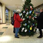 Wunschweihnachtsbaum der Stadt Halberstadt 2021 [(c) Stadt Halberstadt, Pressestelle]