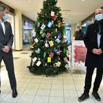 Wunschweihnachtsbaum der Stadt Halberstadt 2021 [(c) Stadt Halberstadt, Pressestelle]