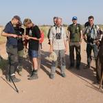 4 Ornithologische Feldforschung bei Abu Simbel_6-2022.jpg