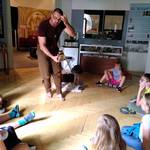 Informationen aus dem Städtischen Museum Halberstadt - Drachensagen Informationen aus dem Städtischen Museum Halberstadt - Drachensagen