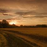 3 Sonnenuntergang in der Börde_Koch.jpg