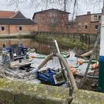 Teichentschlammung in Emersleben