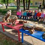 Waldtag in der Kita Kleine Siedler