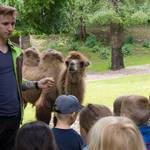 Das Frühstück im Tiergarten findet am 16. September statt