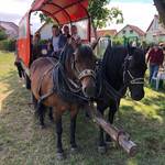 Sommerfest Kleine Siedler & DW-GS (2).jpg