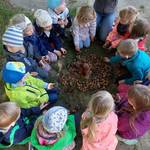 Waldtag in der Kita Kleine Siedler