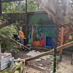 Graffiti-Projekt im Tiergarten Halberstadt: Jugendliche gestalten Dschungelmotiv Graffiti-Projekt im Tiergarten Halberstadt: Jugendliche gestalten Dschungelmotiv