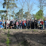 Die Halberstädter pflanzten am 12. April über 1200 neue Bäume