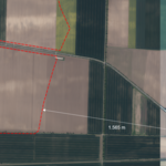 Entfernung Erdbeerfeld