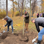 Ein besonderer Höhepunkt war die Pflanzung einer neuen Linde in der historischen Lindenallee am Sams-tag. Ein besonderer Höhepunkt war die Pflanzung einer neuen Linde in der historischen Lindenallee am Sams-tag.