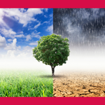 Klimastammtisch- der Stadt Halberstadt Klimastammtisch- der Stadt Halberstadt