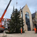 Weihnachtsbaum am Rathaus der Stadt Halberstadt aufgestellt Weihnachtsbaum am Rathaus der Stadt Halberstadt aufgestellt