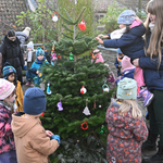Das Weihnachtsbaumschmücken im Tiergarten Das Weihnachtsbaumschmücken im Tiergarten