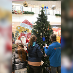 Pflücken der Wünsche vom Halberstädter Wunschweihnachtsbaum in den Rathauspassagen Pflücken der Wünsche vom Halberstädter Wunschweihnachtsbaum in den Rathauspassagen