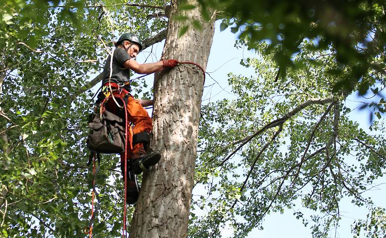Forschung und Projekte
