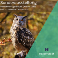 https://www.heineanum.de/var/cache/thumb_327606_1032_1_200_200_r4_png_movo_2025_va.png